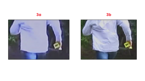 Comparison of a cropped frame from video clips a) filmed as it played on a screen and b) from a working copy