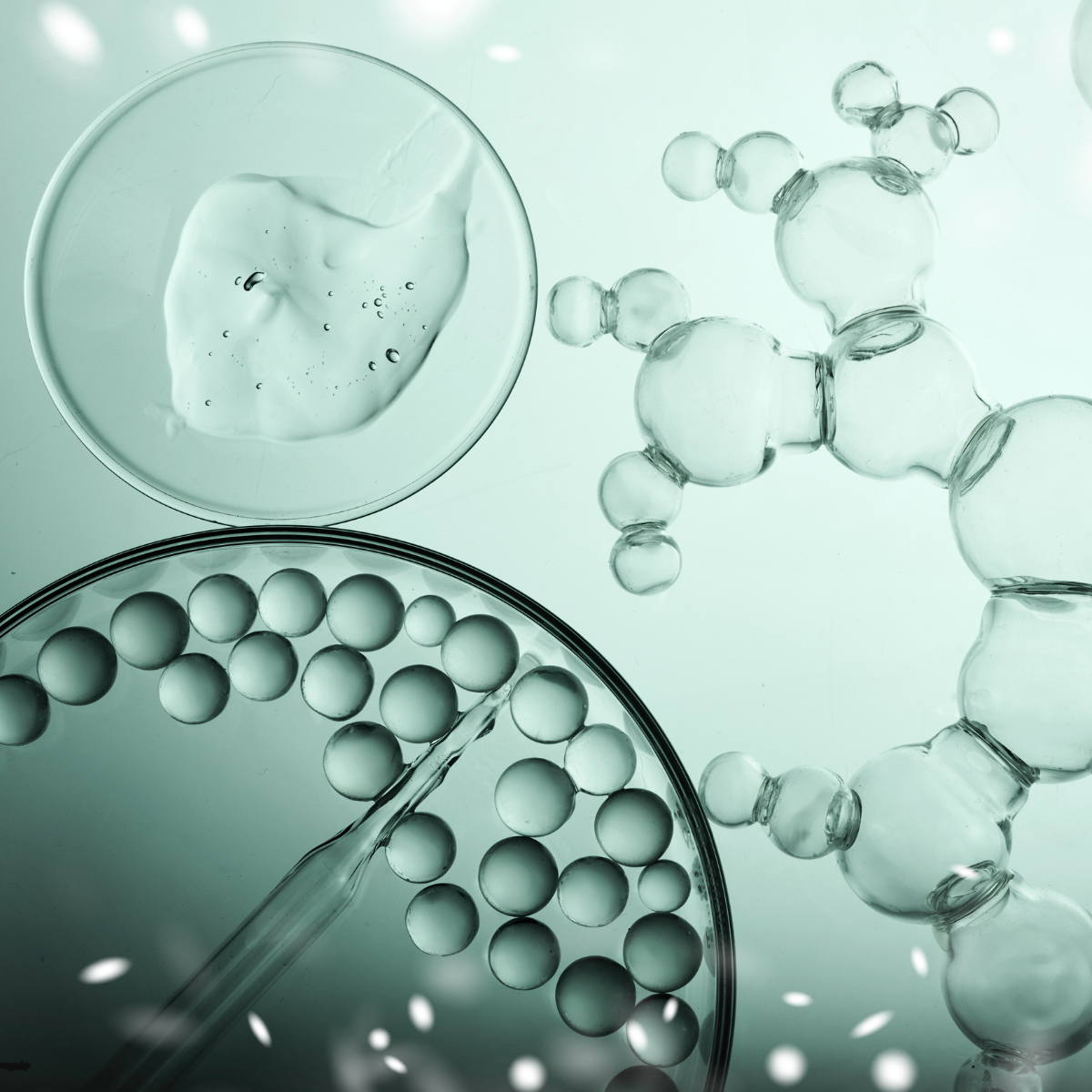 Biol Part 2 (Linkedin Post)