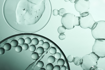 Biol Part 2 (Linkedin Post)