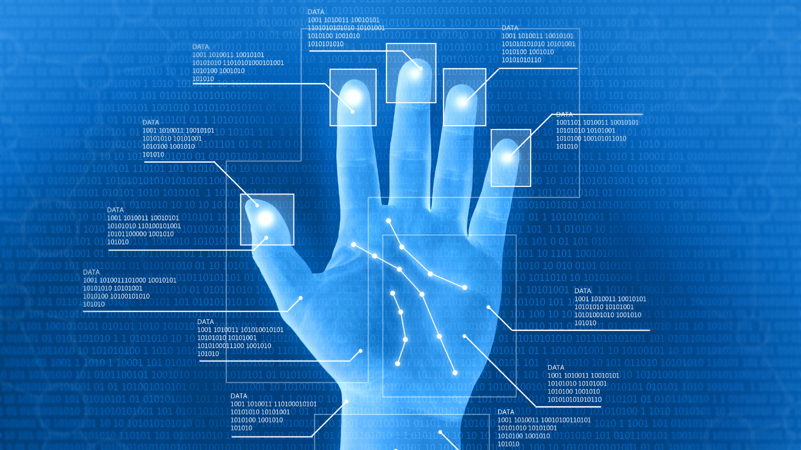 AI Fingerprint Comparison