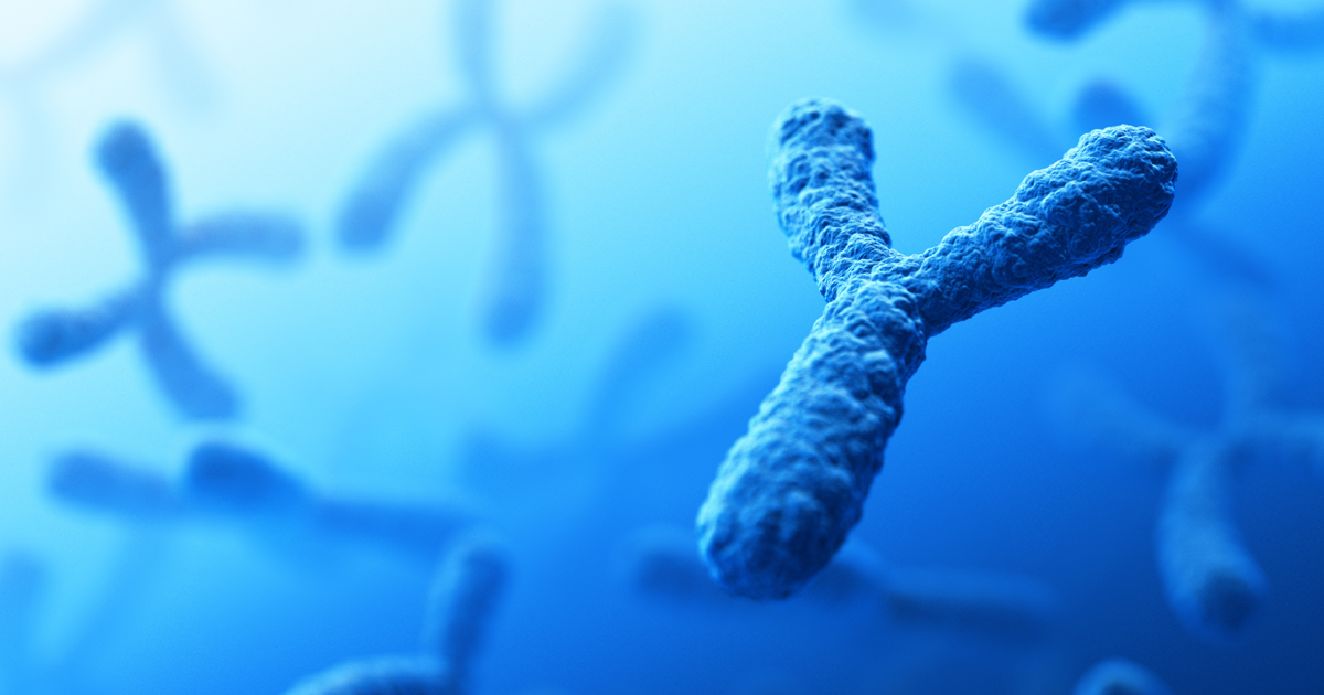News | Y-STR DNA profiling: A Guide for Legal Professionals | Keith ...