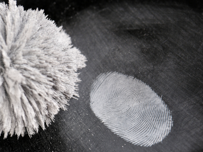 Fingerprints Part 4 Small (1)