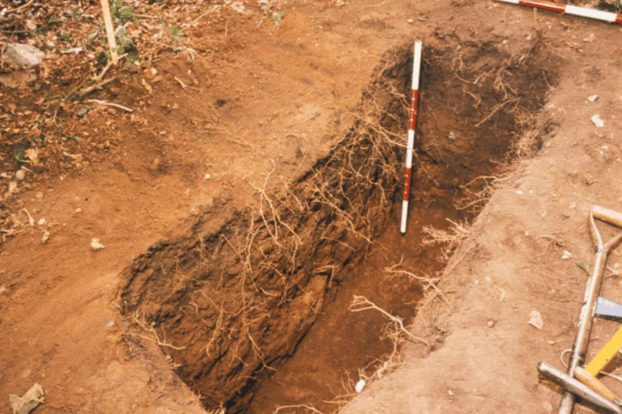 Forensic Archaeology